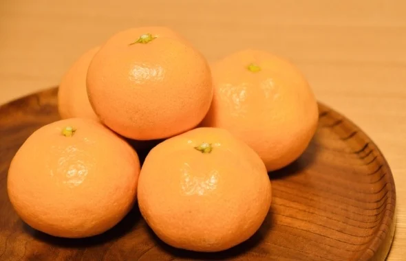 季節に合わせた食養生のポイント:春夏秋冬の食材選びと調理法