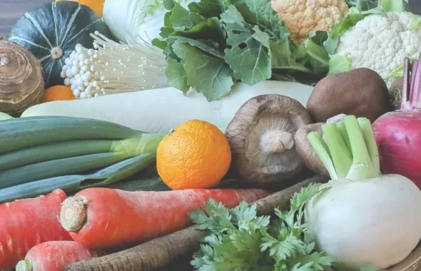 食養生の基本とは?初心者向けガイドで健康習慣を始めよう