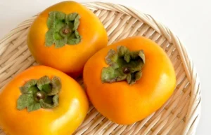 柿を使った食養生:栄養と活用法